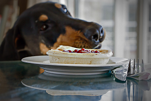 Do I Dare by Allysa Carberry, Set Image of the Night, Jun 2014