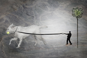 Follow The Leader by Margaret Penney, Set Image of the Night, Jul 2015