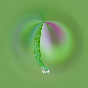 Waterdrop by Pauline Smith, Best Print Image, Salon 2014