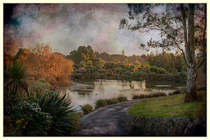 Botanic Gardens, Manurewa by Allysa Carberry, Set Image of the Night, Feb 2015