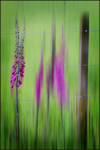 Country Art by Margaret Penney, Open Image of the Night, Jun 2013