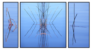 Lakeside by John Penney, Set Image of the Night, May 2013