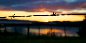 Protecting the View by Lynn Fothergill, Open Image of the Night, Sep 2013