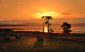 Sunset on the Manukau Harbour by Pauline Smith, Open Image of the Night, Jun 2015