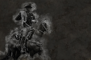 Night Rider by Pauline Smith, Open Image of the Night, Aug 2016