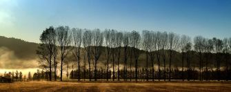 open-highly-commended-rural-morning-by-john-penney