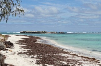 All Mine by Chris Jaggs