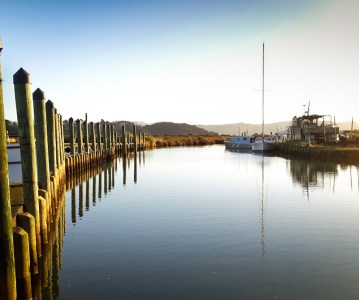 Harbour View by Amanda Beets