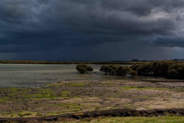 Storm by Kevin Porter