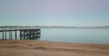 The Wharf by Amanda Beets